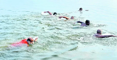 అవిశ్
