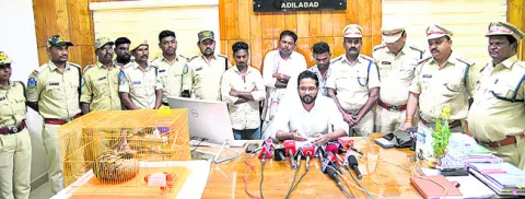 అలుగు విక్రయించేందుకు యత్నం