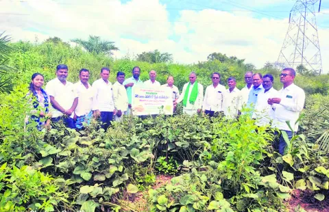 మద్యం