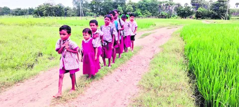 అక్షర జ్ఞానం కోసం..