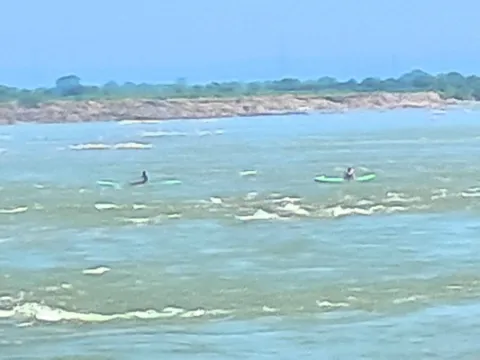 చేపల వేట.. ప్రాణాలతో ఆట