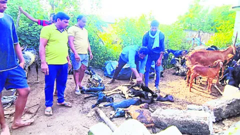 రోడ్డు ప్రమాదంలో  యువకుడికి గాయాలు