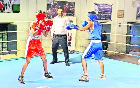 జేఎన్‌ఎస్‌లో బాక్సింగ్‌ ఎంపికలు
