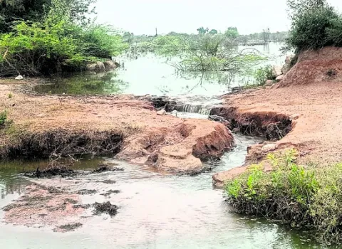 ప్రమాదపుటంచున కొత్తపల్లె చెరువు 