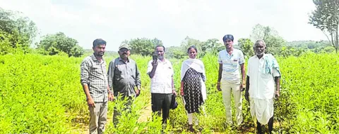 పంటల నమోదు తప్పనిసరి 