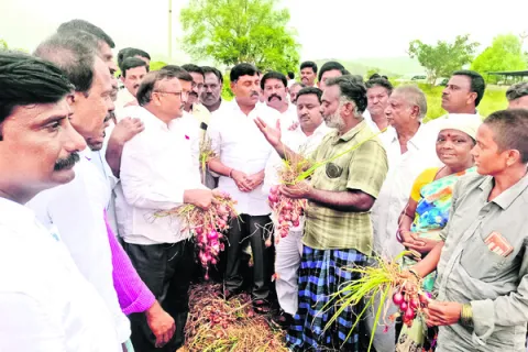 ఉల్లి రైతులను ఆదుకోవాలి 