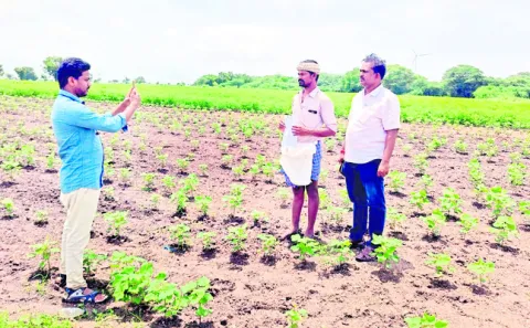 ఇష్టారాజ్యంగా ఈ–క్రాప్‌ నమోదు 