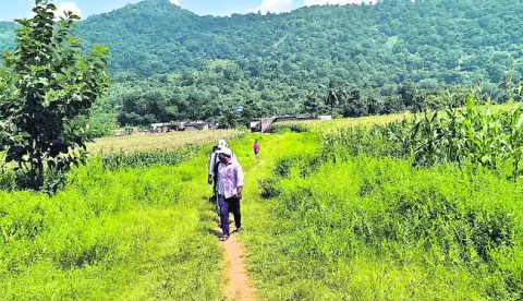 గిరిస
