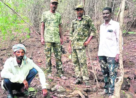 నవోదయ