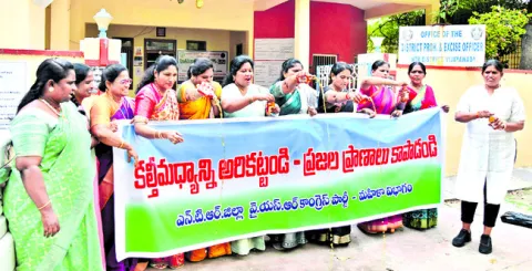 మహిళల నిరసనాగ్రహం 