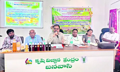 తేనెటీగల పెంపకంతో అదనపు ఆదాయం 