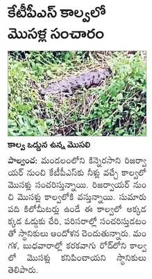 రైతుల