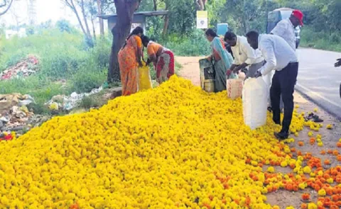 Kolar Flower Market drop in price farmersTroubles