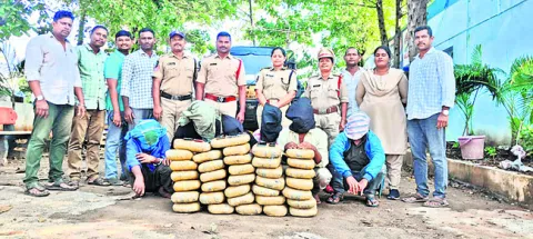 70 కిలోల గంజాయి స్వాధీనం