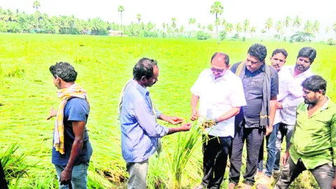 పాములు కరుస్తున్నా.. పట్టదా? 
