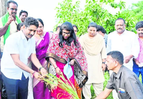 9,200 హెక్టార్లలో  వరికి నష్టం 