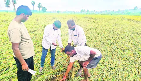 తప్పు ఒప్పుకున్న టీడీపీ నేత 
