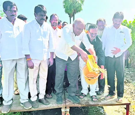 చేపల పెంపకంతో ఆర్థిక పరిపుష్టి 