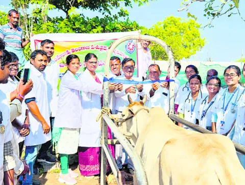 పశువైద్య శిబిరాలతో రైతులకు మేలు