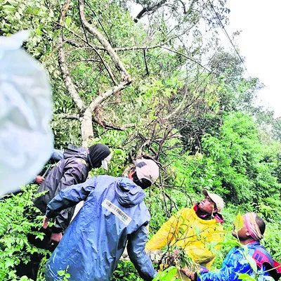 గ్రామాలకు నిలిచిన విద్యుత్‌ సరఫరా
