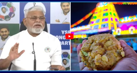 Ambati Rambabu Revels Shocking Facts On Tirumala Laddu Ghee Case  1