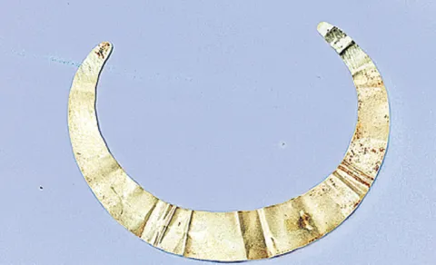  Rumors of Gold Discovery in Forest Spark Police Inquiry 