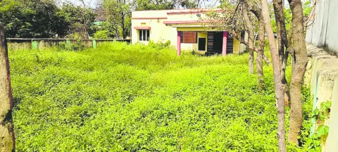 ఐబీ భవనం అంతేనా?