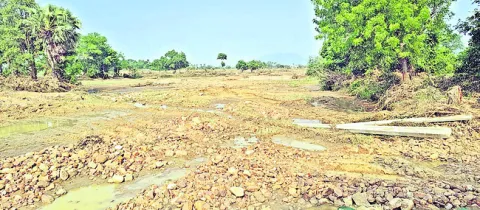 గుండె‘కోత’ 
