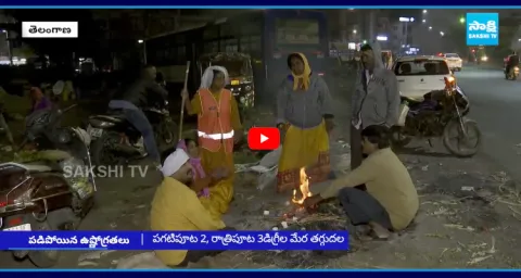 Cold Waves In Telangana State 4