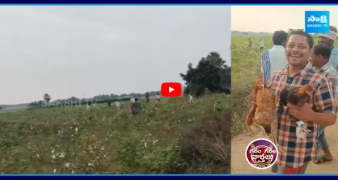 Unknown Persons Left 2000 Hens In Elkathurthy 3