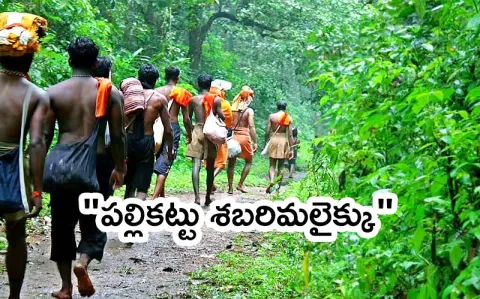 Lord Ayyappan s trek How far is Sabarimala pedda padam
