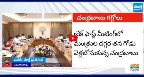 CM Chandrababu Shocking Survey on AP MLAs 5