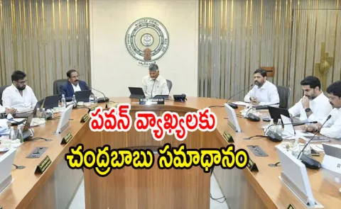 I Am Not Responsible For MLAs Wrong Doings Says CM Chandrababu