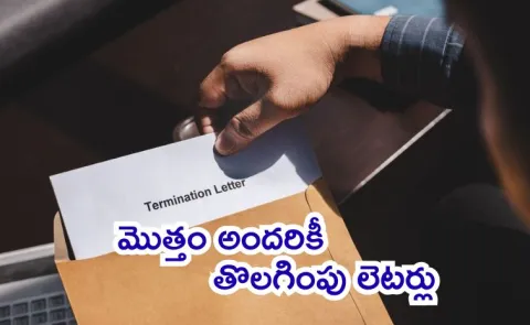 Employee Says HR Accidentally Sent Termination Notice To All Including CEO