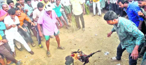 కో..అంటే కాసులే..!