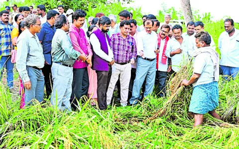 తుపాను నష్టాన్ని పరిశీలించిన కేంద్ర బృందం