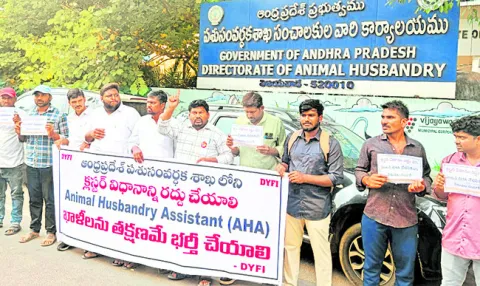 పశుసంవర్ధక శాఖలో ఏహెచ్‌ఏ పోస్టులు భర్తీ చేయాలి 