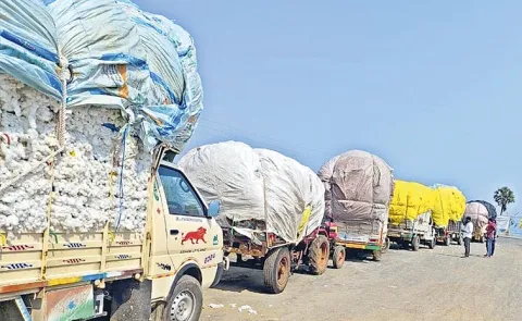 Cotton Farmers Face Difficulties