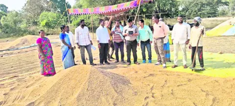 ధాన్యాన్ని నిబంధనల  మేరకు ఆరబెట్టాలి