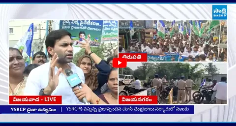YSRCP Leader Devineni Avinash Fires On Chandrababu 2