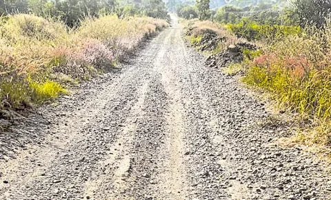 Roads damaged in rains: Telangana