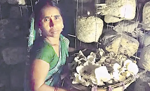 Bina Devi: The Mushroom Lady Empowering Rural women14