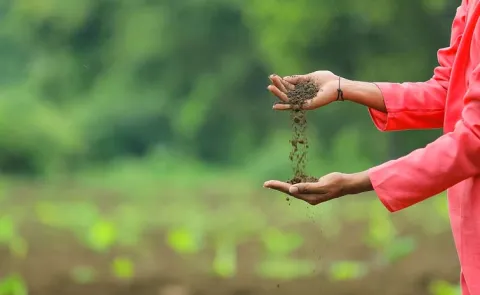 Sagubadi: IUCN Adopts First-Ever Global Model Law on Soil Security