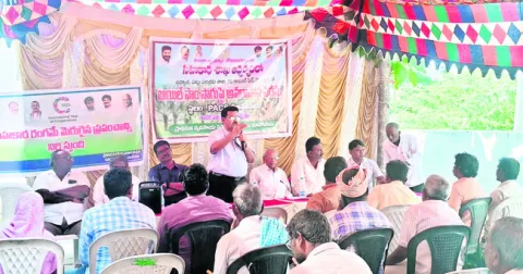 ఆయిల్‌ పామ్‌ సాగుతో అధిక లాభాలు 