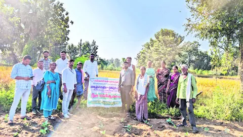 నాణ్యమైన విత్తనాలు  ఎంచుకోవాలి