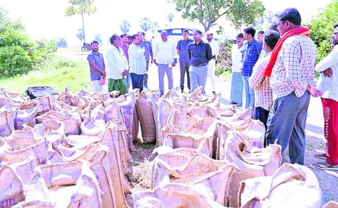 17శాతం తేమ ఉన్న ధాన్యం తేవాలి 