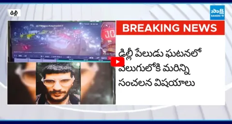 Delhi Blast Plan Exposed In Umar Mohammad Dairy 1