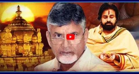 Chandrababu And Pawan Kalyan Fake Propaganda On Tirumala Laddu Ghee 5