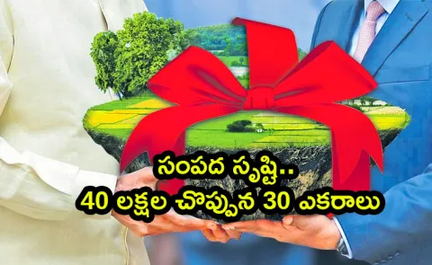 Chandrababu Govt Given Lands To Companies In AP
