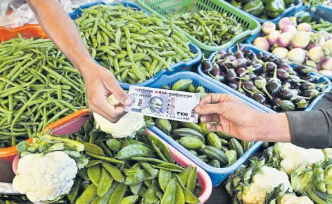 Retail inflation eases to record low of 0. 25percent in October 2025
